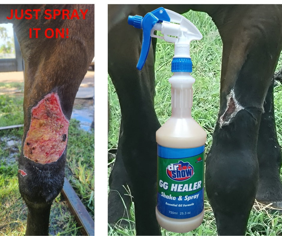 Dr Show GGH Shake & Spray 4 Lt Refill.