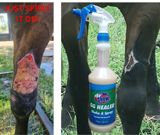 Dr Show GGH Shake & Spray 750ml