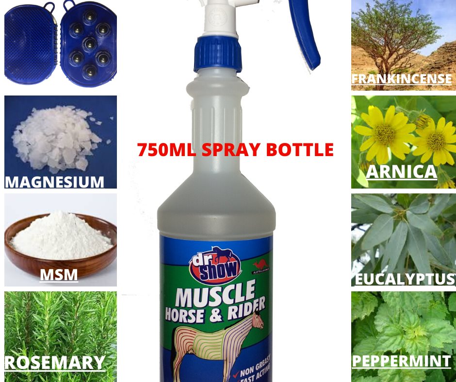 Dr Show MUSCLE Horse & Rider 750 ml Spray (25.36 oz)