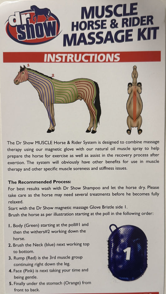 Dr Show Magnetic Massage Glove