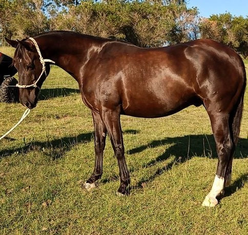 Outdoor Protect & Shine