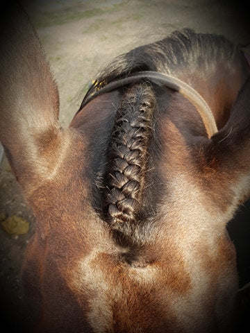 Dr Show Super Mousse Braid & Shine 375 ml (12.6 oz)