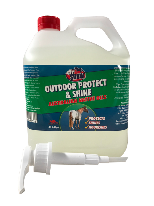 Outdoor Protect & Shine