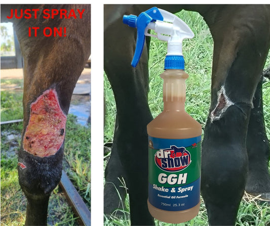 Dr Show GGH Shake & Spray 750ml